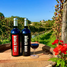 Lade das Bild in den Galerie-Viewer, Club Barrique - Carton offre spéciale <new member>