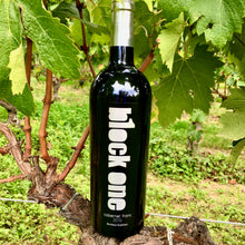 Lade das Bild in den Galerie-Viewer, B1ockOne 2017 Cabernet Franc