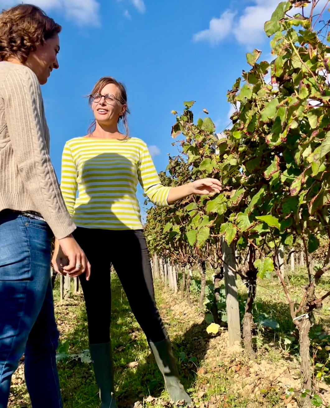 Réservation expérience - La viticulture bio au fil des saisons