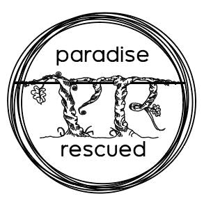 Paradise Rescued Europe